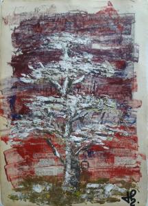 Arbre 41