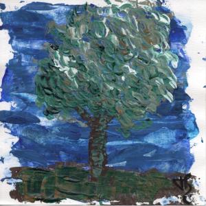 Arbre 15