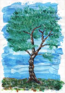 Arbre 24