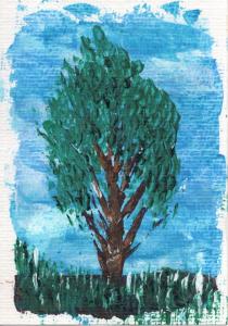 Arbre 28