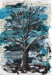 Arbre 67