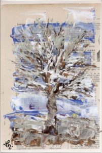 Arbre CP1
