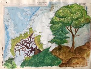 Arbromap 32, Asie 