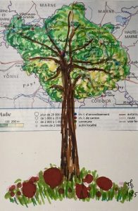 Arbromap 2025.21, Aube