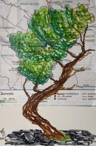 Arbromap 2025.22, Charente