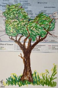 Arbromap 2025.21, Cotes-d’Armor