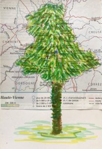 Arbre 2025.23