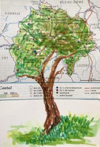Arbre 2025.25