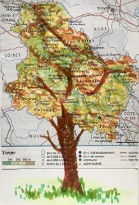 Arbre 2025.26