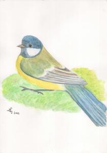 Mésange