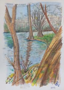 Arbre 81