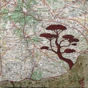 L'arbre du voyageur