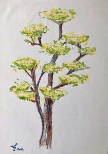 Arbre 98