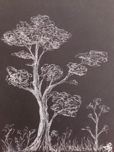 Arbre 2025.14