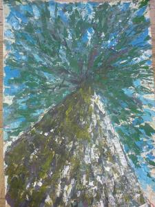 Arbre 74